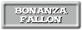 bonanzafallon
